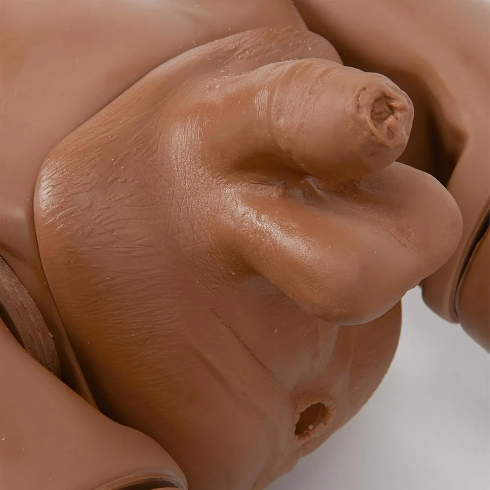 Complete Auscultation KERi™ Manikin, Medium