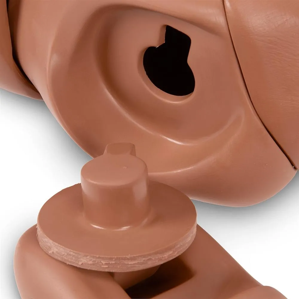 Complete KERi™ Manikin, Medium Skin