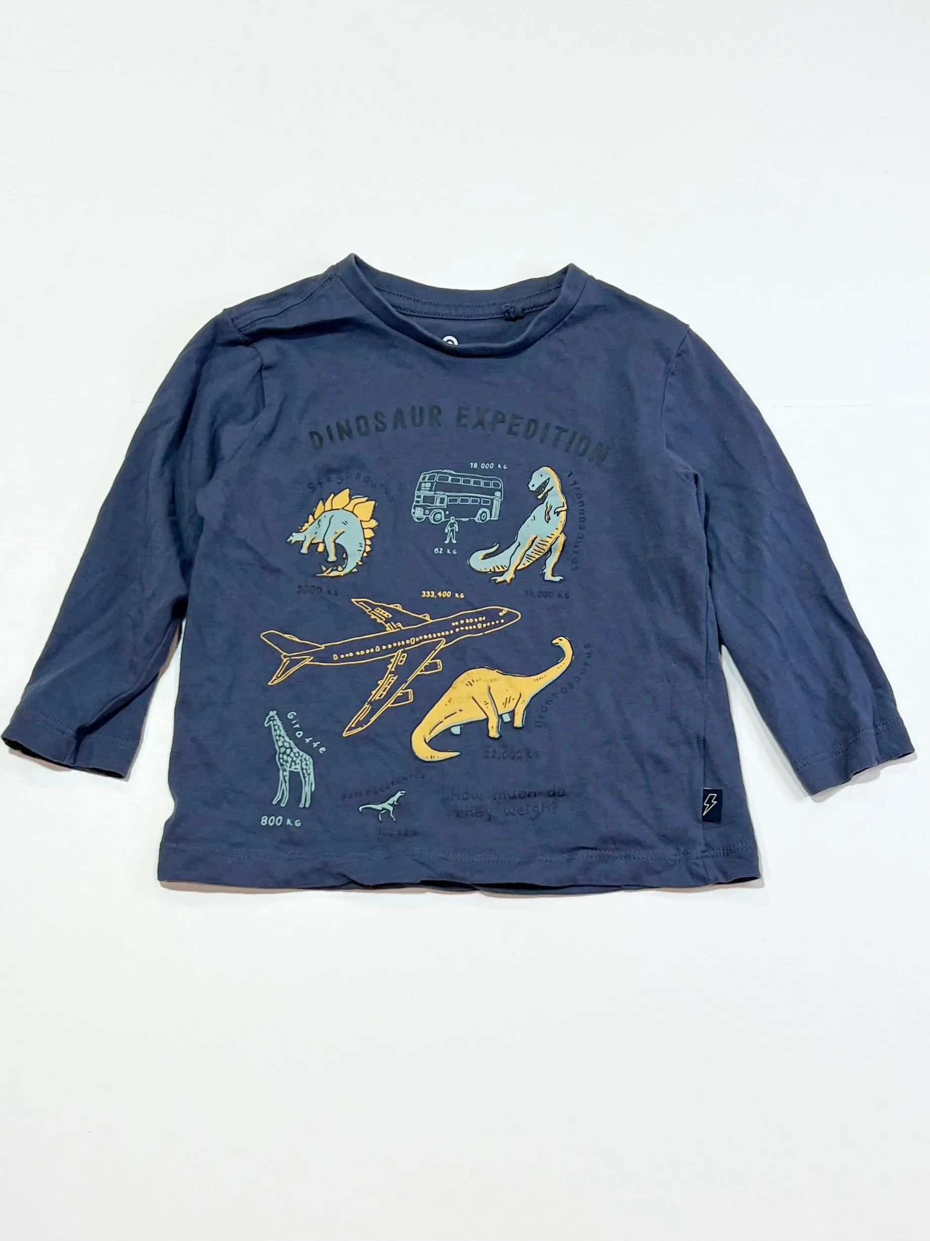 Dinosaur expedition top - Size 2