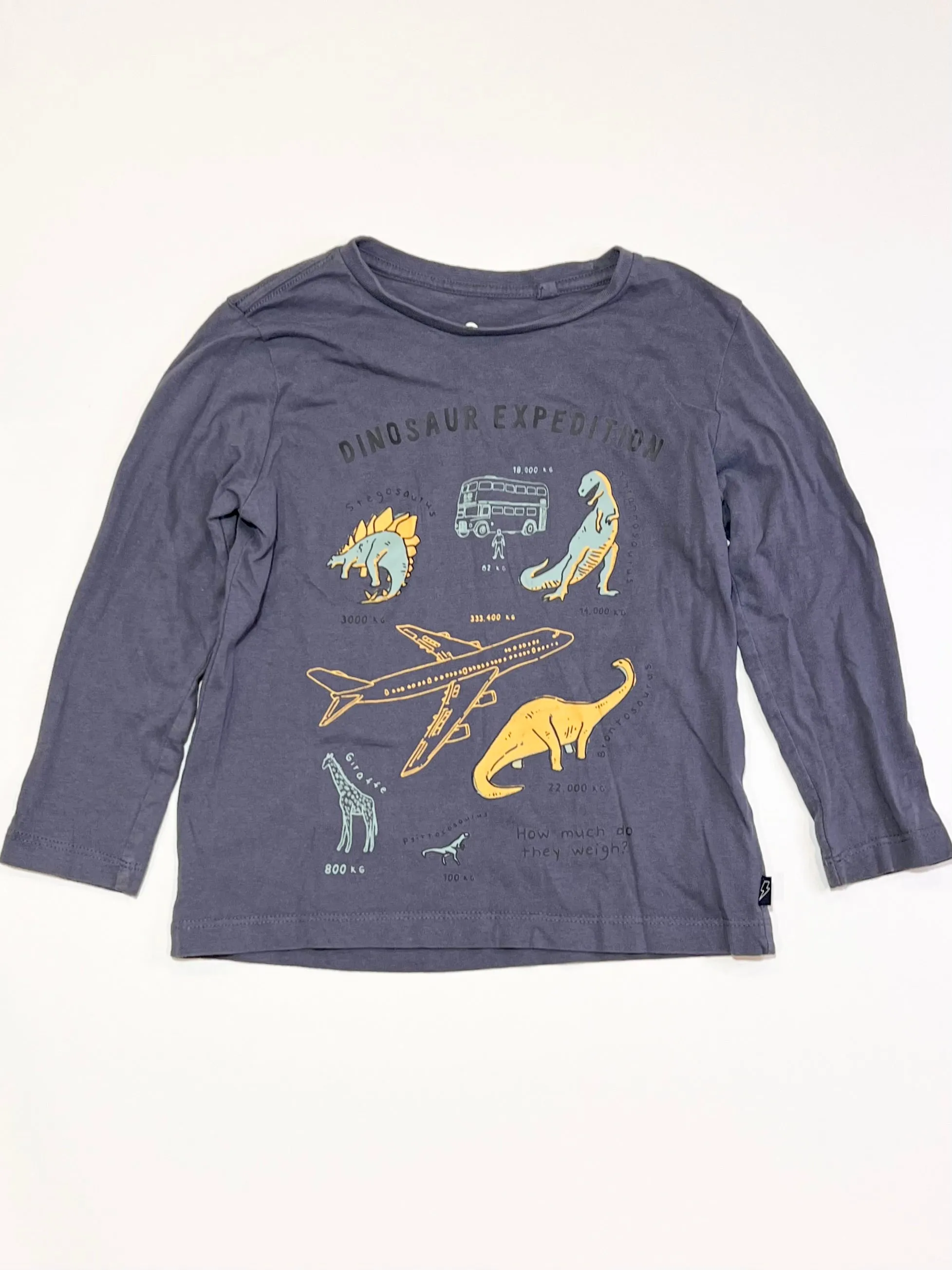 Dinosaur expedition top - Size 4